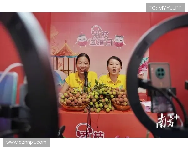 TVS1南方卫视高清直播在线观看精彩节目